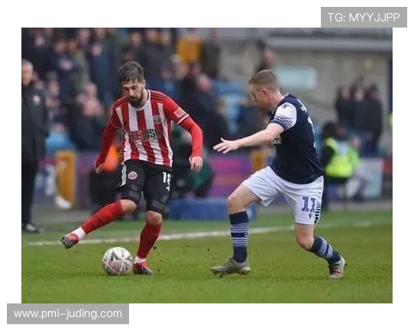 谢菲联经理续约