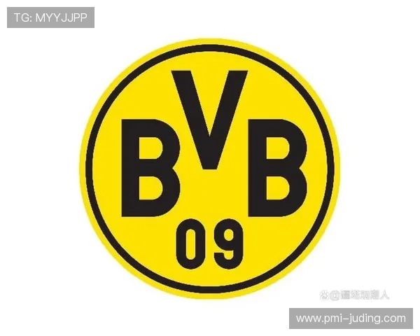 多特蒙德年轻化进程加剧：关键时刻稳定性不足影响赛季走势