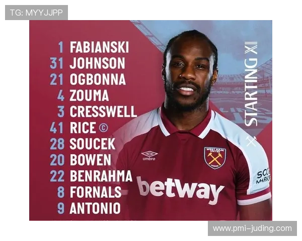 帕利尼亚 vs 赖斯:覆盖能力与全面性的对比 帕利尼亚 vs 赖斯:覆盖能力与全面性的对比